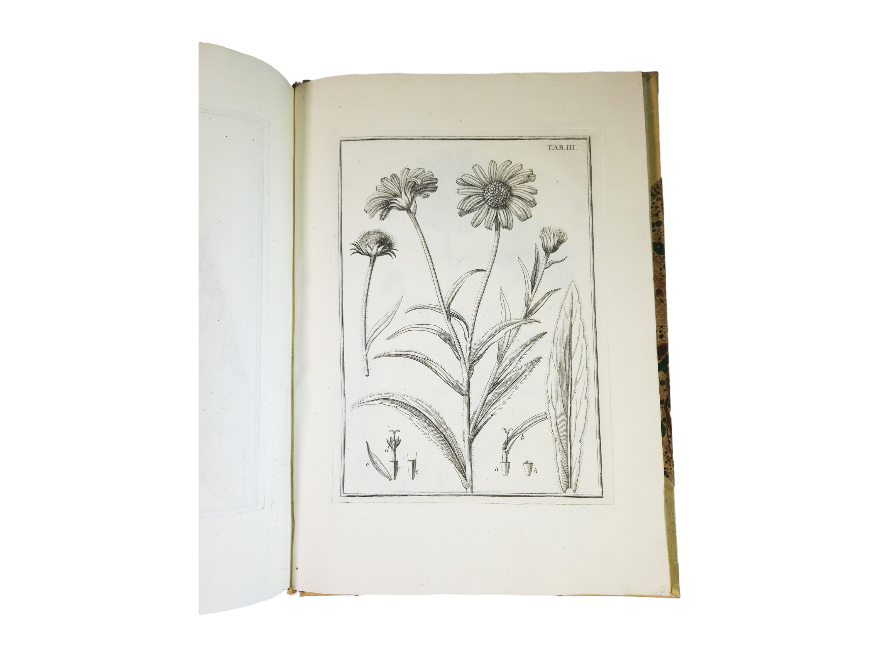 Pier Antonio Micheli - Catalogus Plantarum Horti Caesarei Florentini