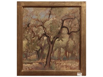 Paesaggio Alberato