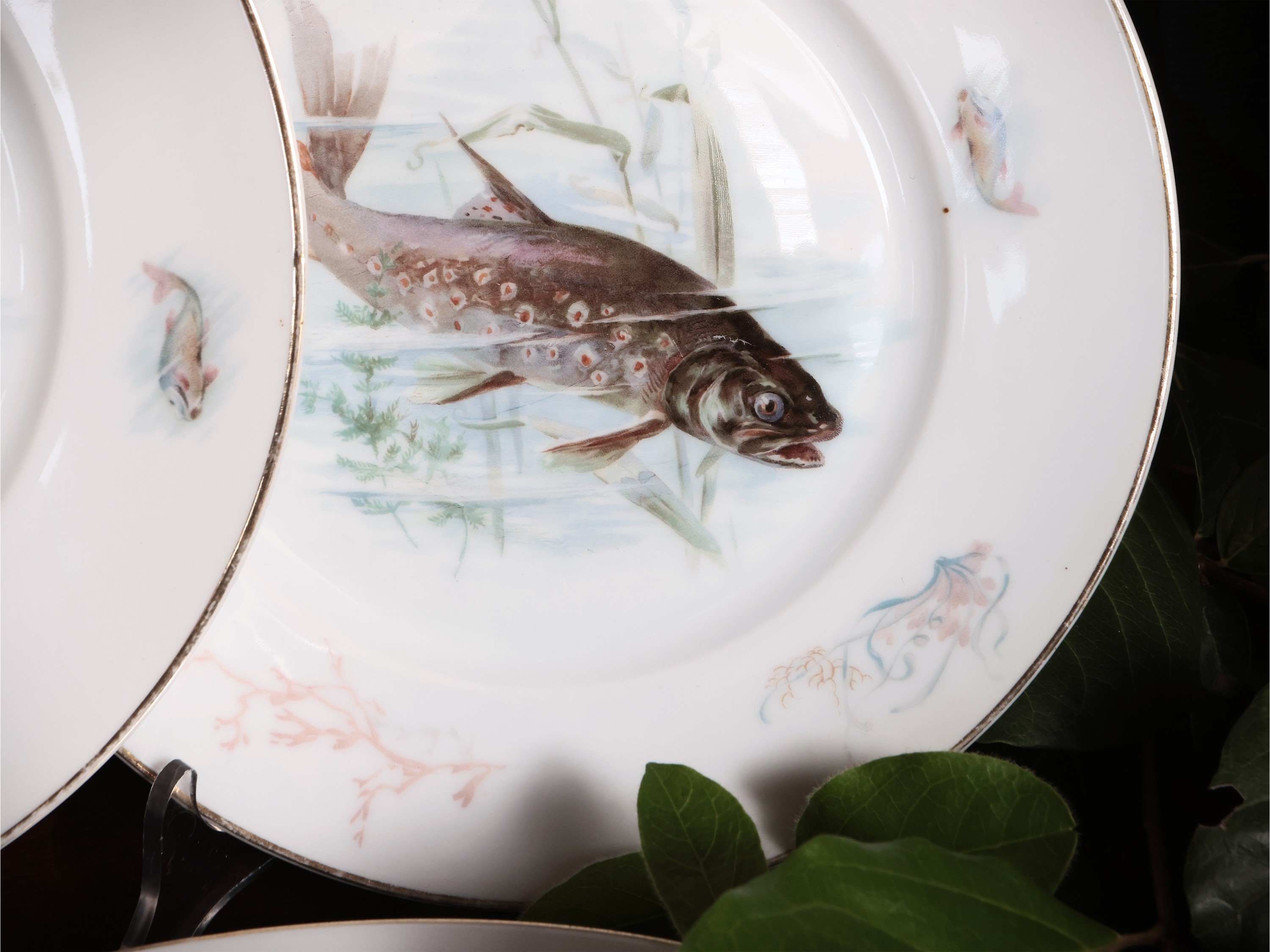 Servizio di Piatti da Pesce in Porcellana Bavaria