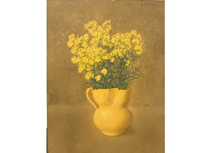 Mimosa