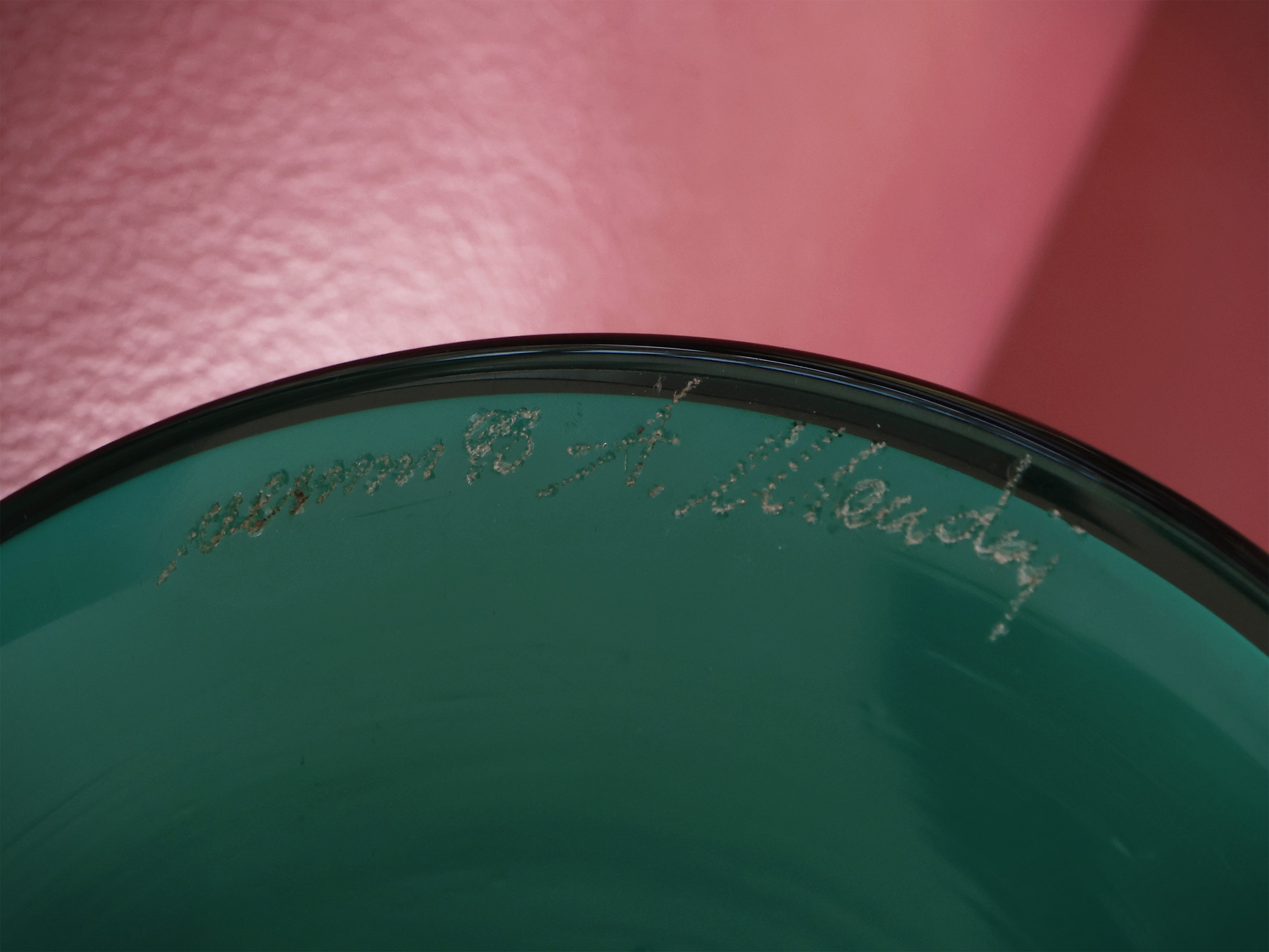 Vaso Acco, Alessandro Mendini per Venini, 1998