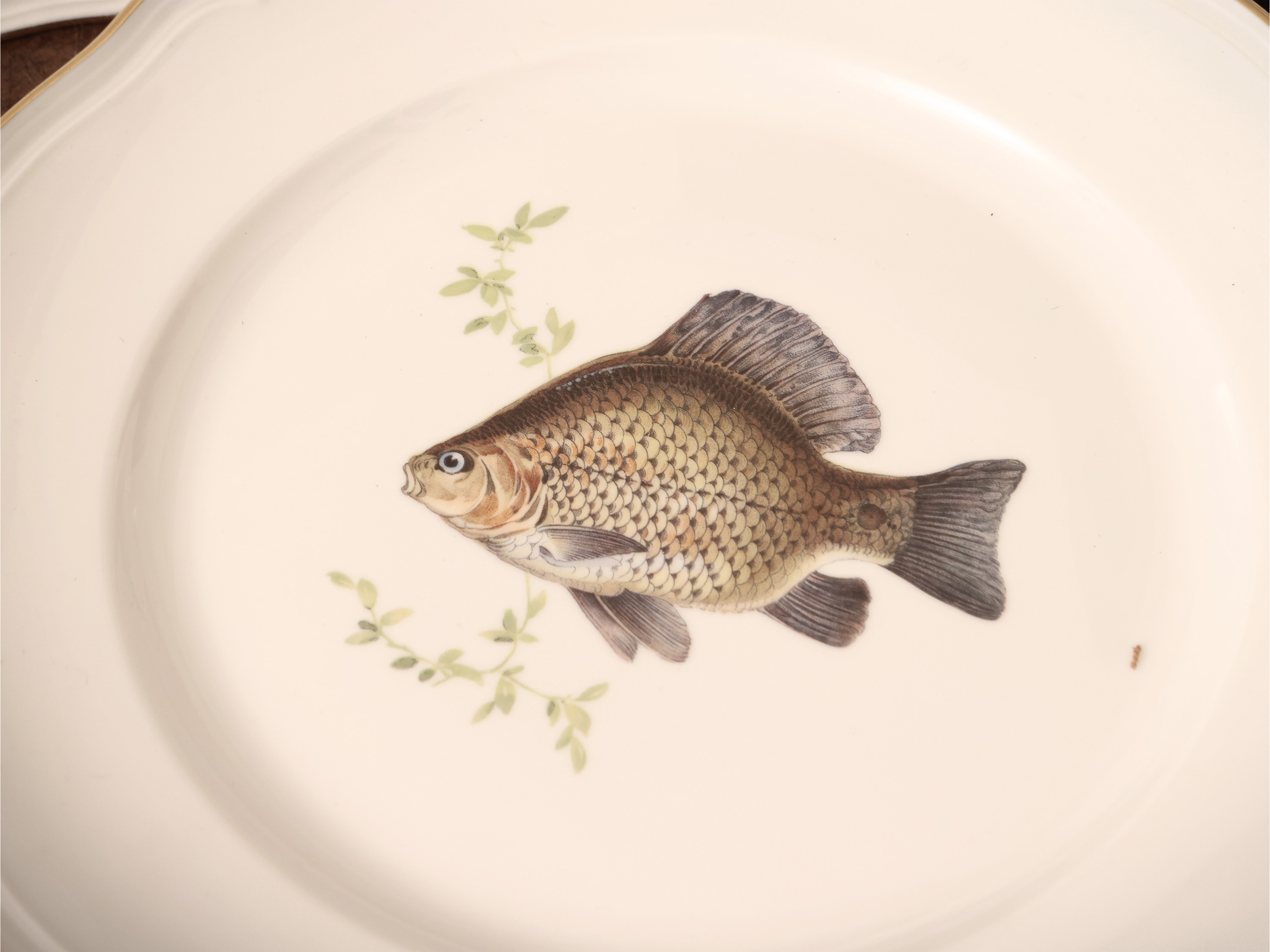 Servizio di Piatti da Pesce in Porcellana, Richard Ginori