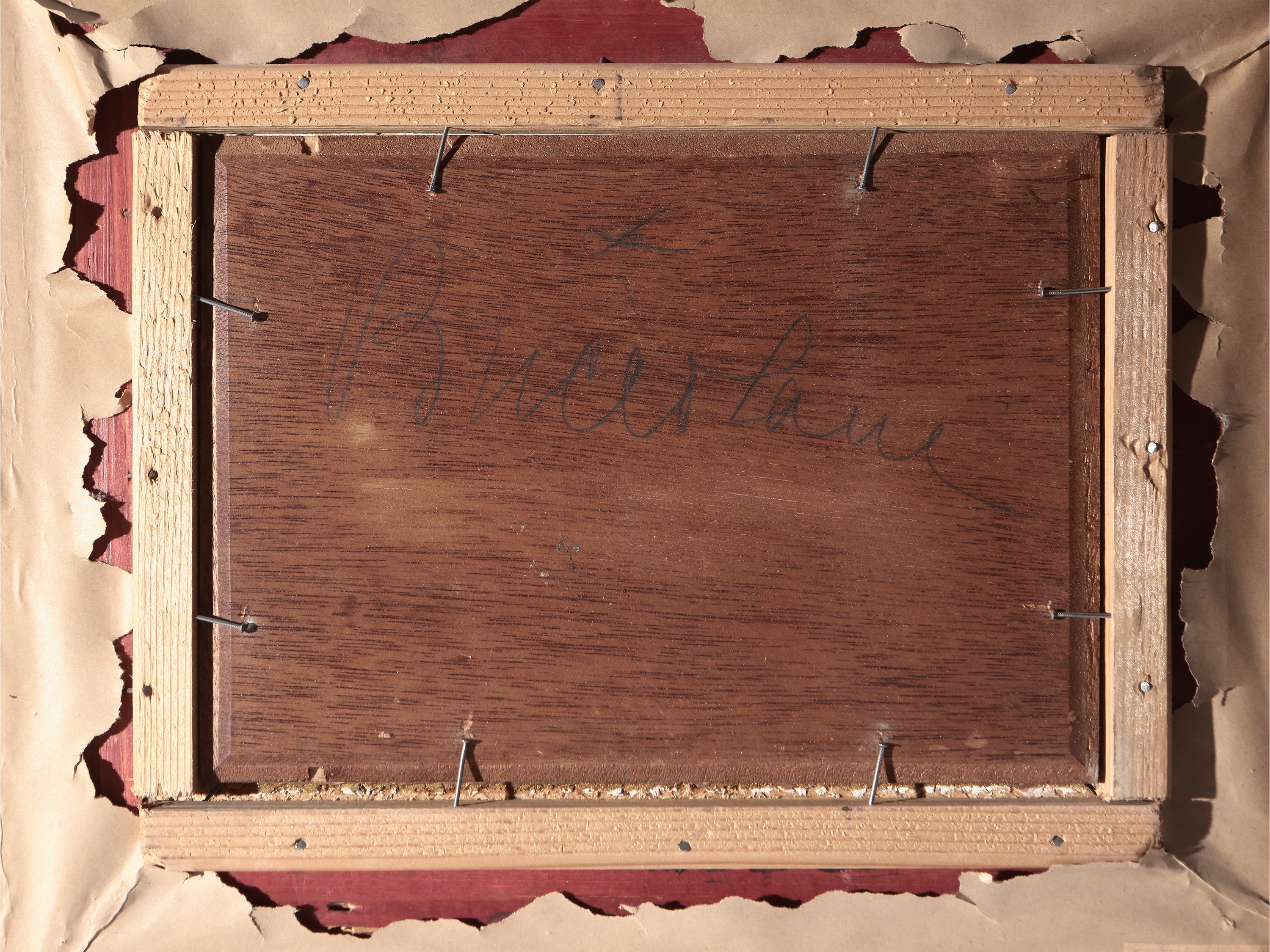 Trionfo di fiori in un paesaggio