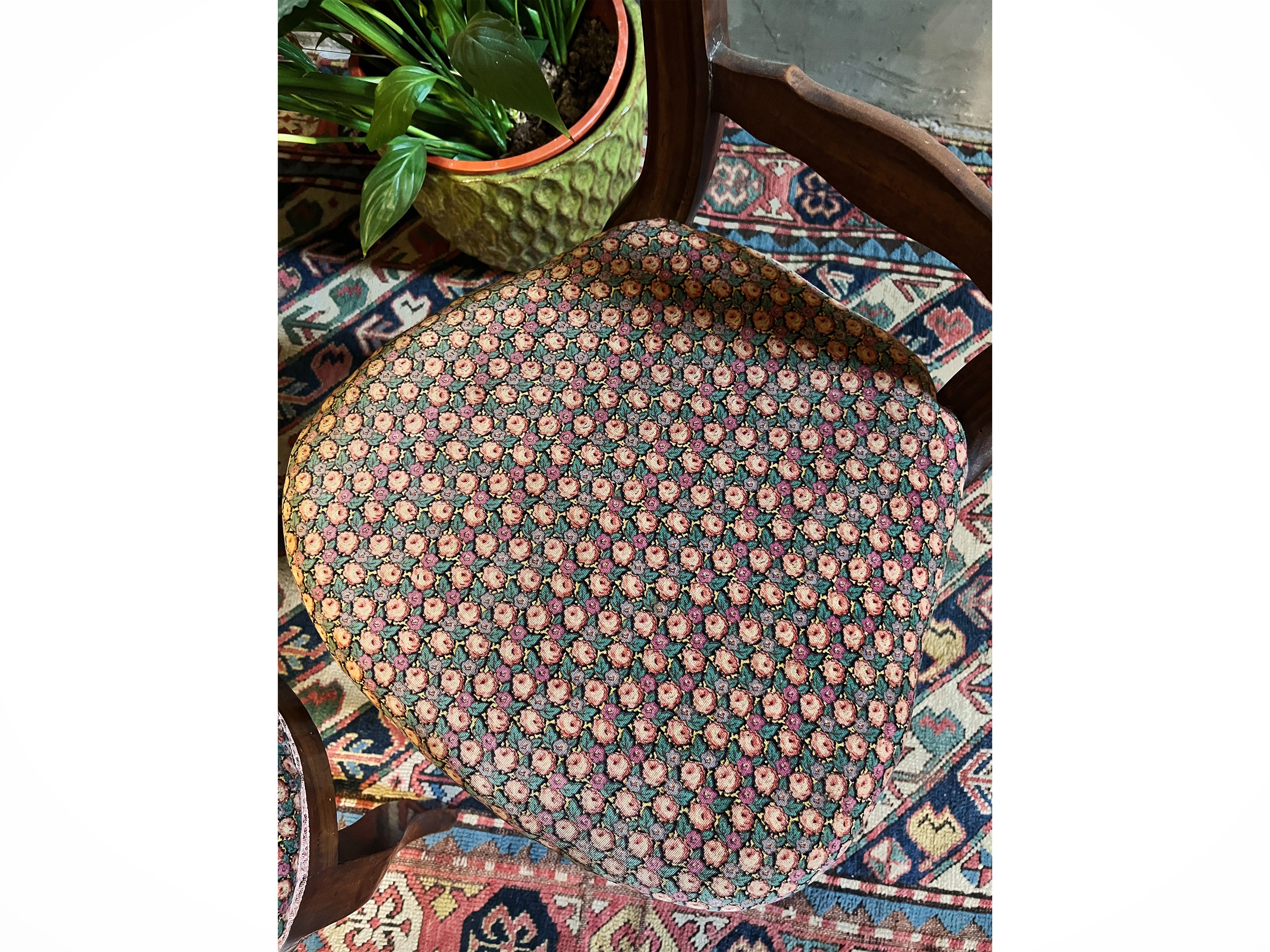 Coppia di sedie da converszione in noce