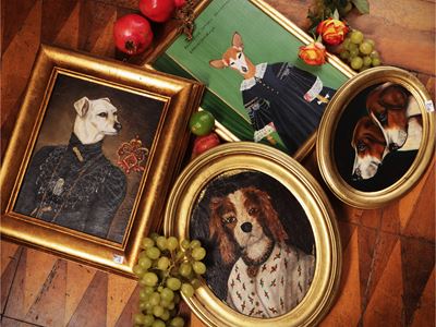 Corsini, Ritratti di cagnolini - quattro dipinti ad olio
