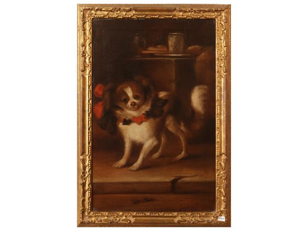 Scuola toscana del XVII secolo - Portrait of spaniel with bows