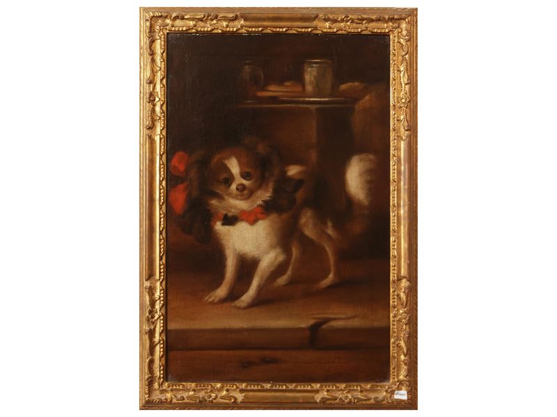 Scuola Toscana del XVII Secolo - Ritratto di spaniel con fiocchi, olio su tela