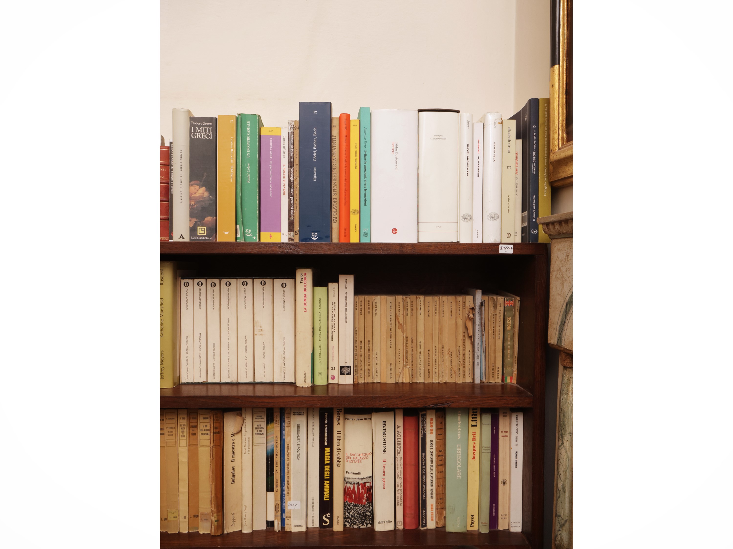 Miscellanea di libri, narrativa e psicologia