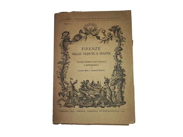 Firenze nelle vedute e nelle piante