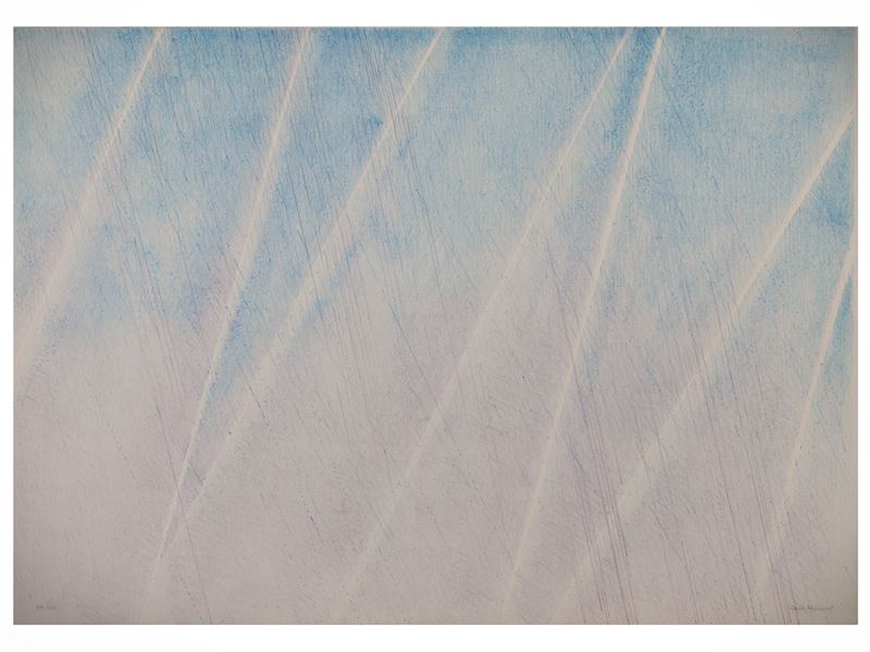 Lotto di grafica: Giulia Napoleone e Gustavo Giulietti