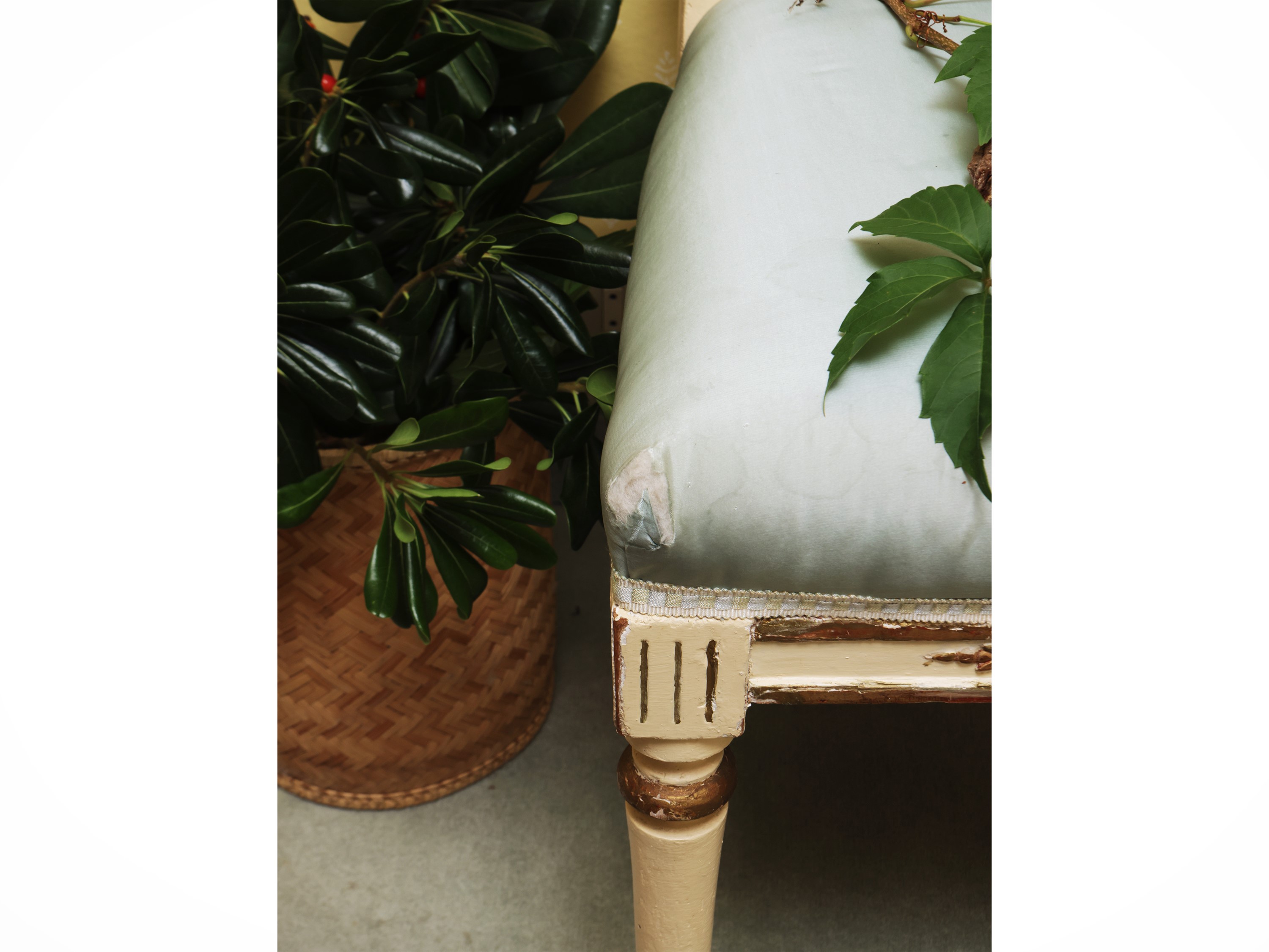 Coppia di sedie in legno tinto bianco, stile neoclassico con sedili in raso celeste