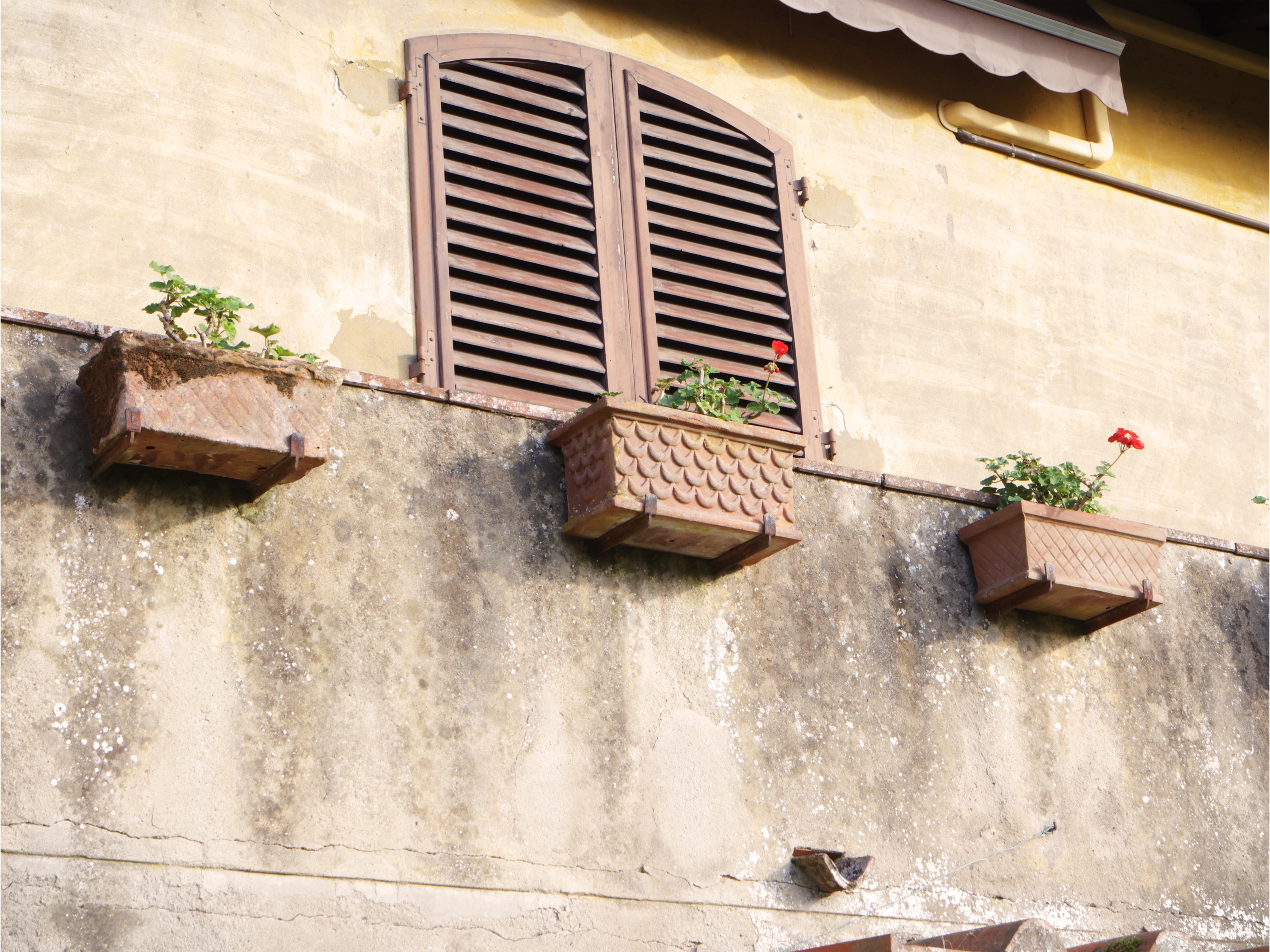 Nove vasi a cassetta in terracotta, circa cm 17x41x22