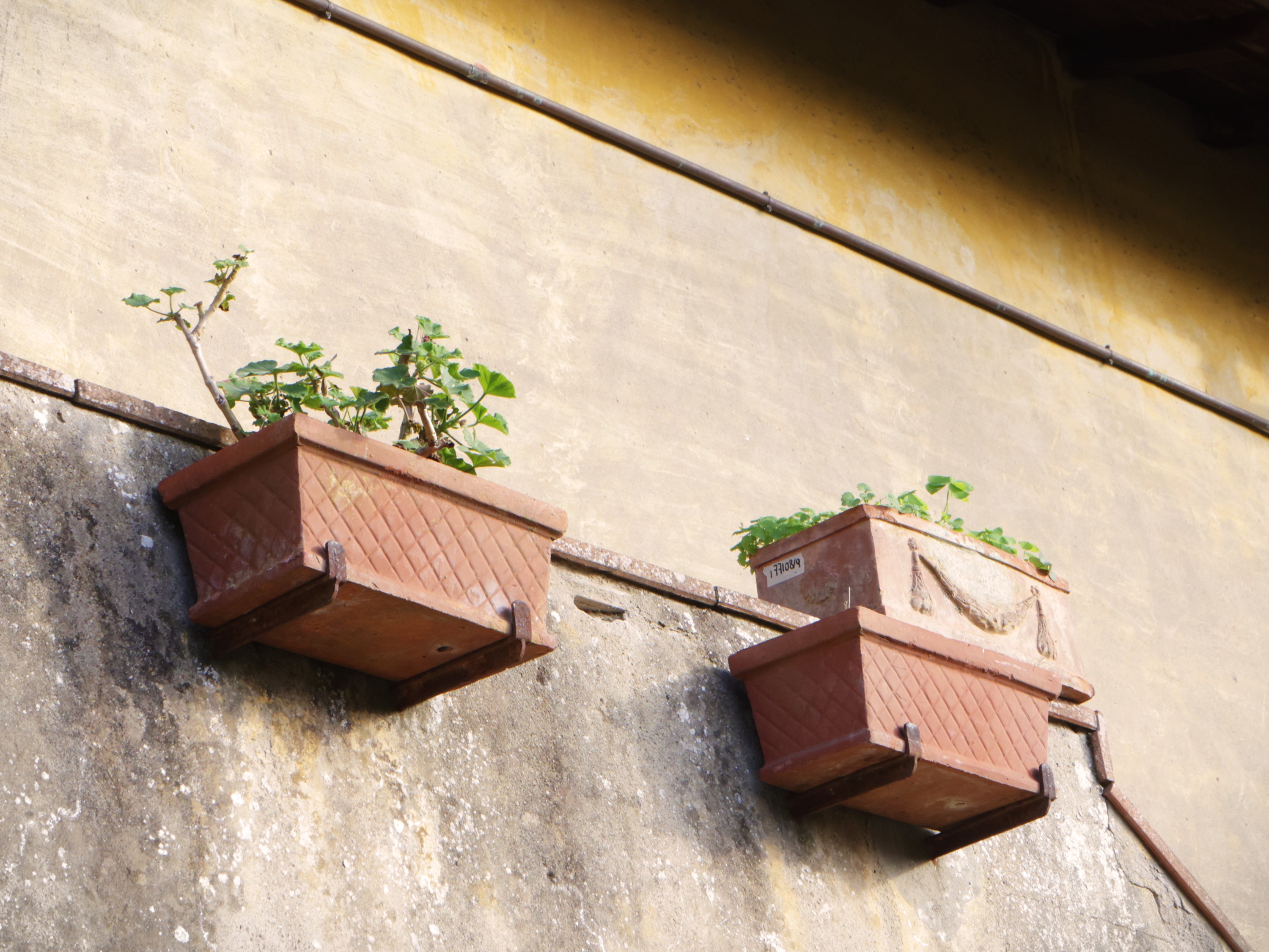 Nove vasi a cassetta in terracotta, circa cm 17x41x22