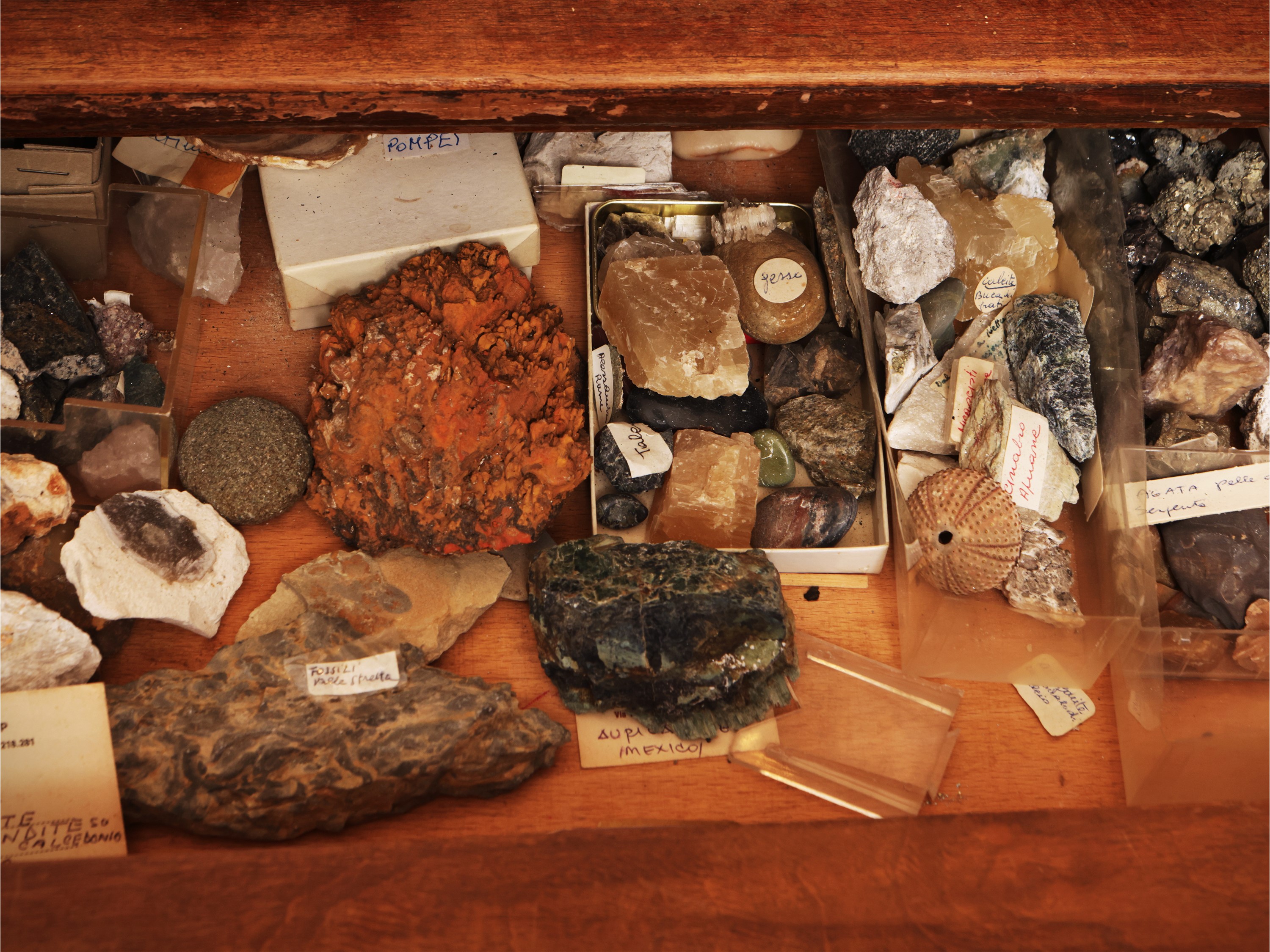 Collezione di minerali e fossili con opere di riferimento