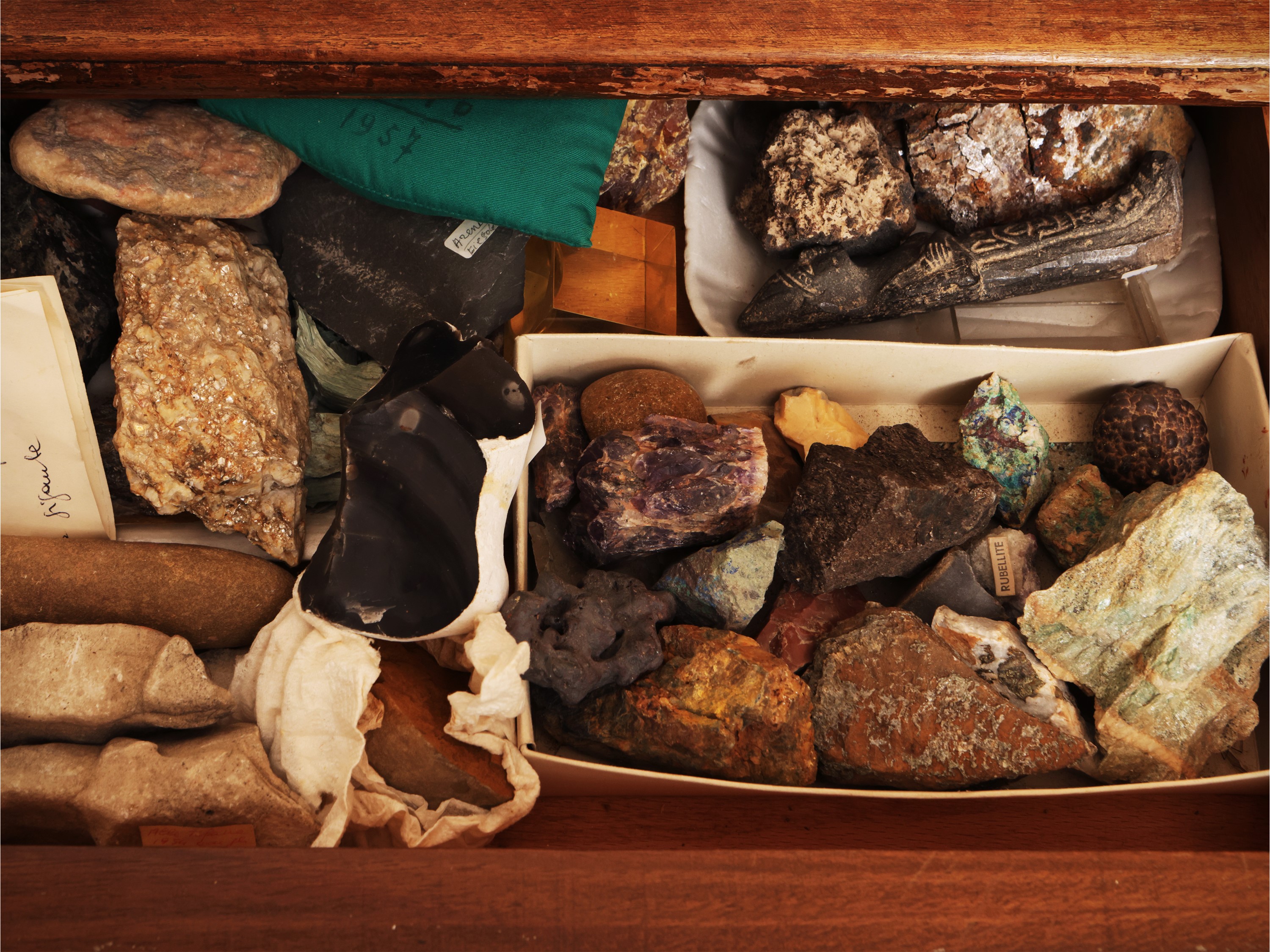 Collezione di minerali e fossili con opere di riferimento