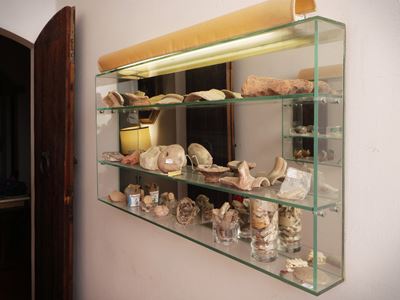 Coppia di Vetrine Pensili per Collezioni