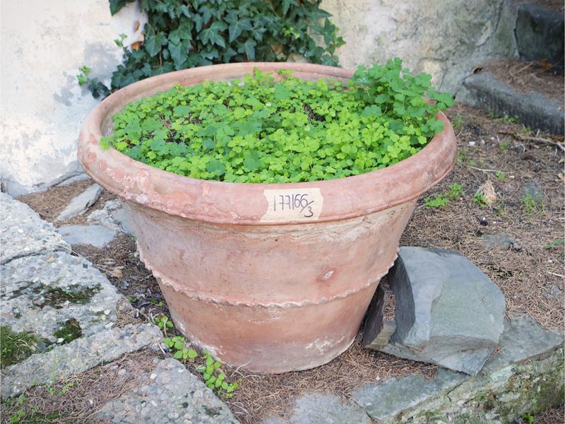 Due vasi da giardino in terracotta di Impruneta, altezza cm 47 e cm 44