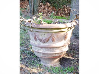 Tre vasi in terracotta, coppia di vasi decorati con festoni e un vaso di manifattura più recente