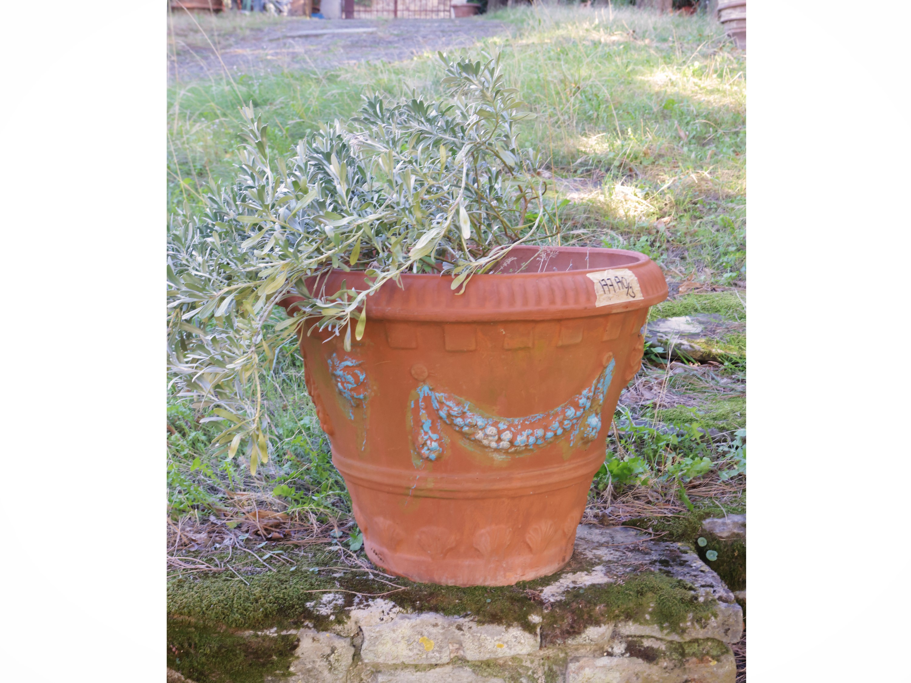 Tre vasi in terracotta, coppia di vasi decorati con festoni e un vaso di manifattura più recente