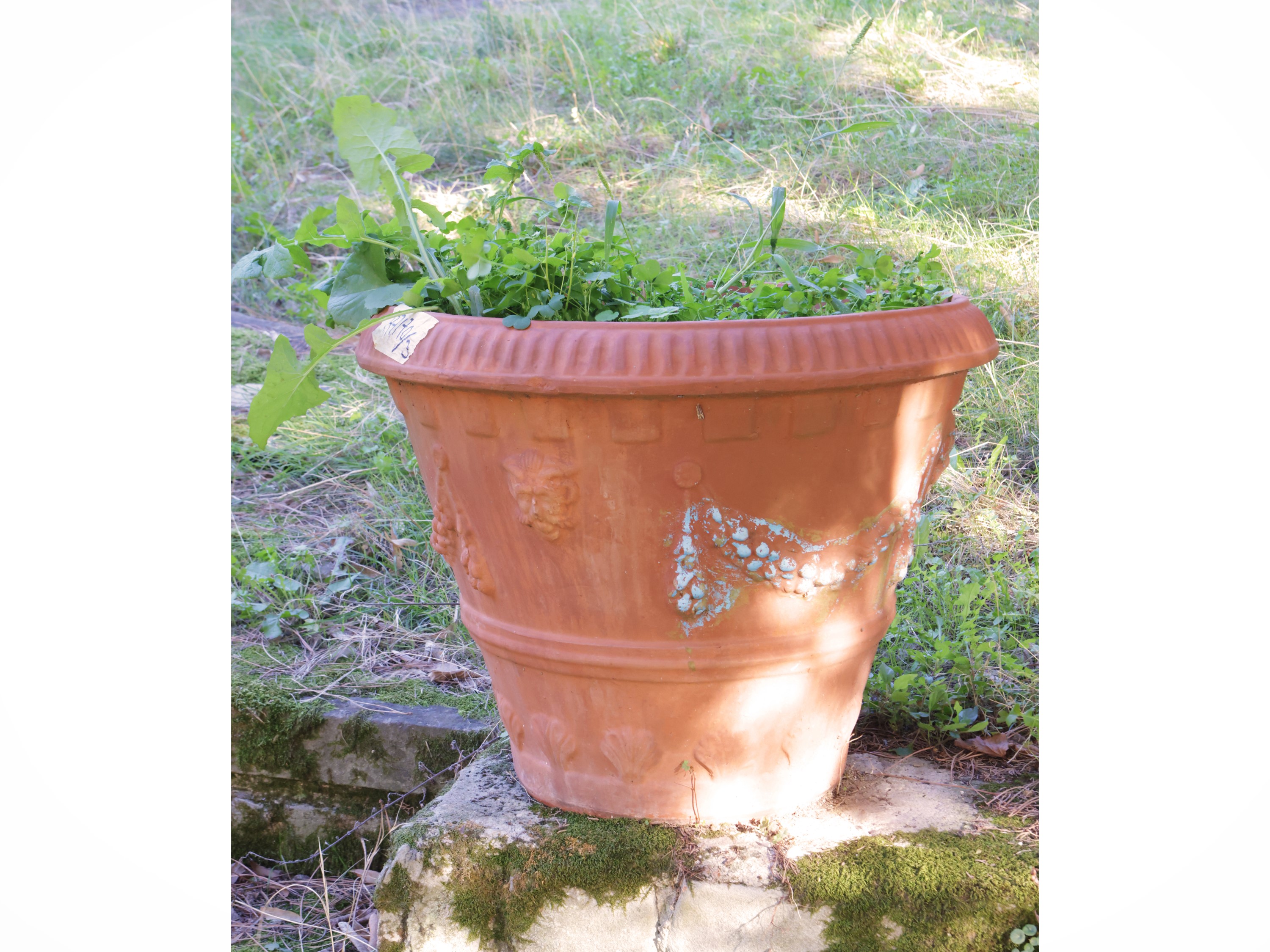 Tre vasi in terracotta, coppia di vasi decorati con festoni e un vaso di manifattura più recente