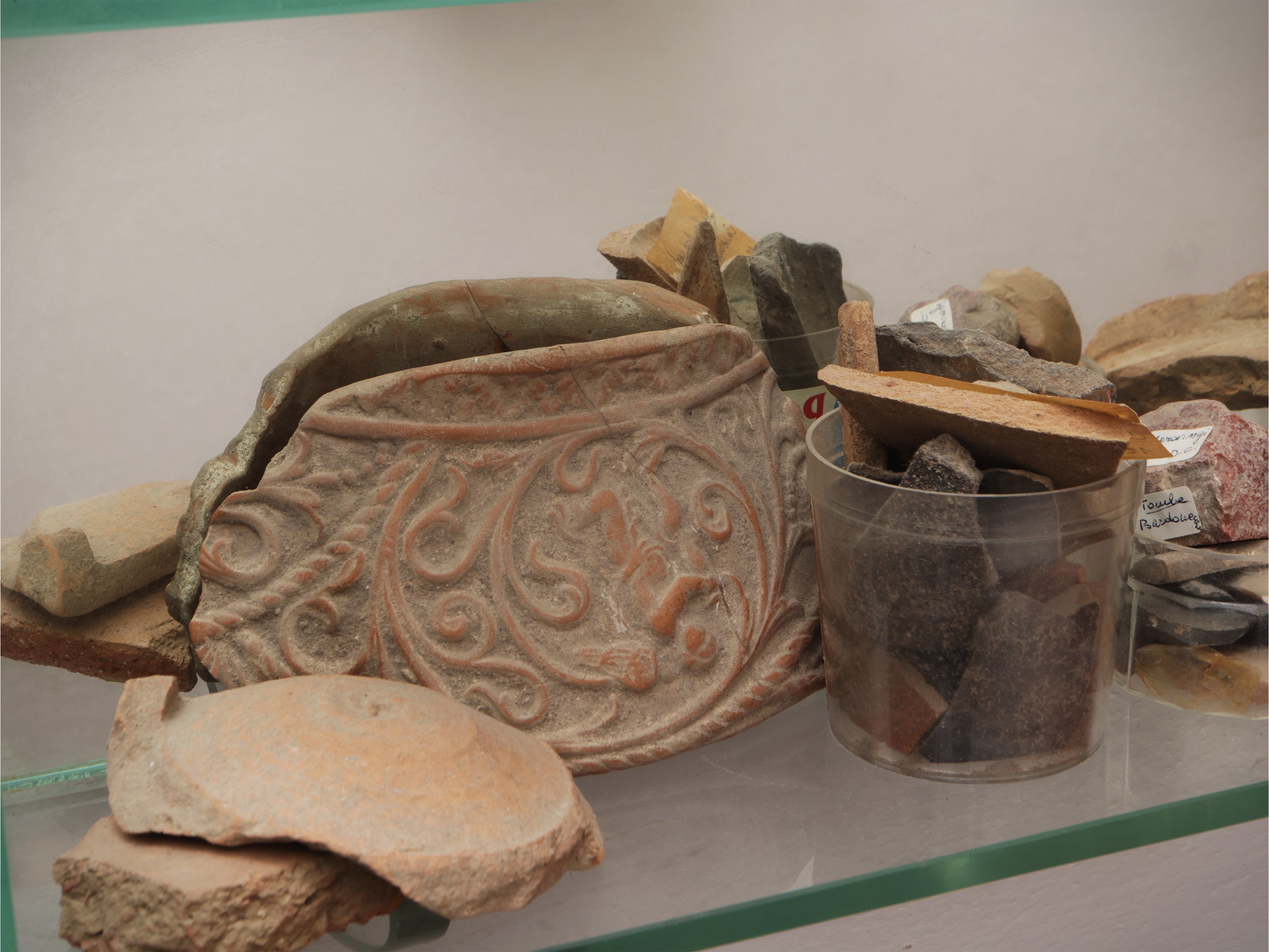 Collezione di minerali, varietà e tipologie