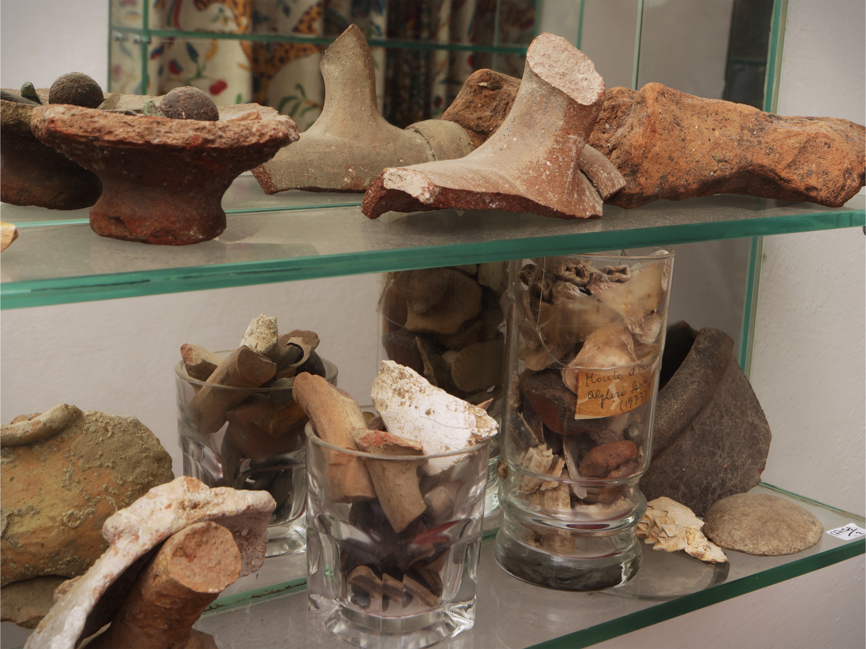 Collezione di minerali, varietà e tipologie