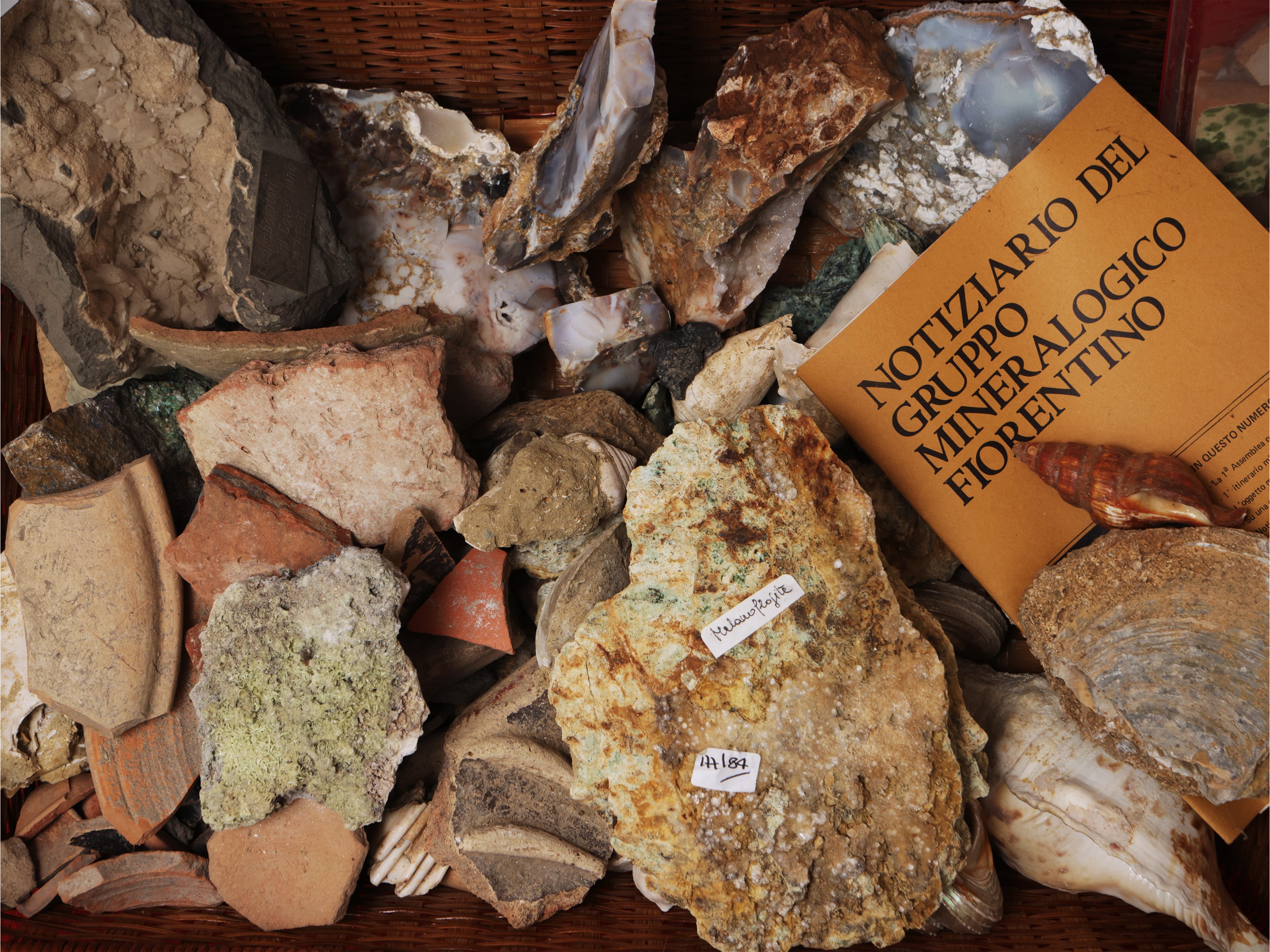 Collezione di minerali, varietà e tipologie