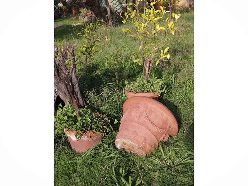 Tre vasi in terracotta, h cm 155 circa complessivi