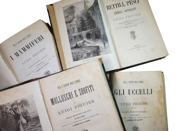 Louis Figuier - Vita e costumi degli animali: I mammiferi, Gli uccelli, Rettili e pesci, Molluschi