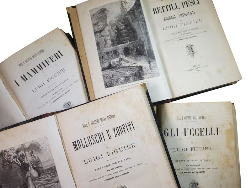 Louis Figuier - Vita e Costumi degli Animali: i Mammiferi, gli Uccelli, Rettili e Pesci, Mollusch...