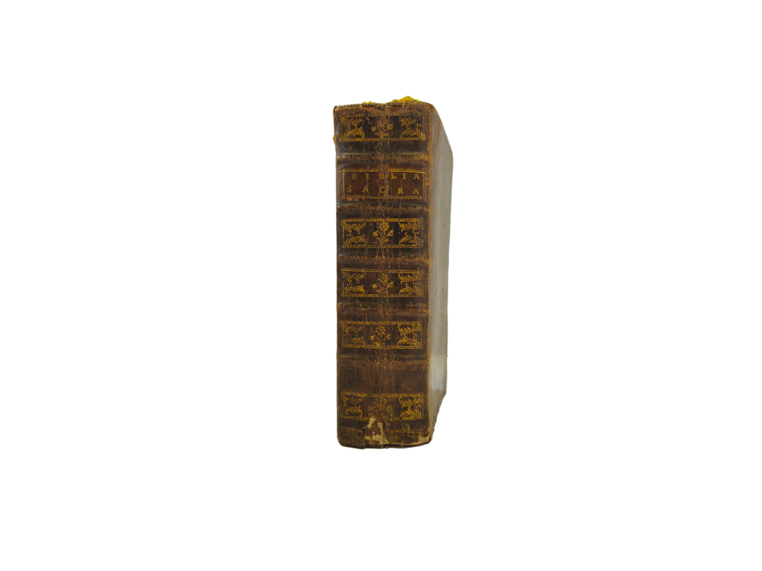 Biblia Sacra