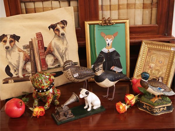Lot of animal curiosities