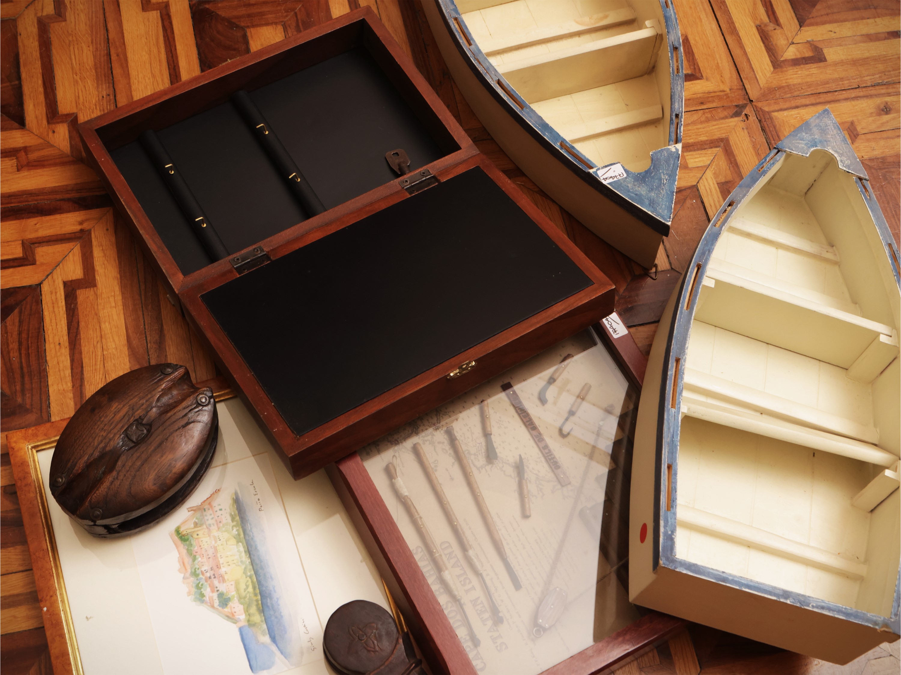 Raccolta di curiosità marine, etagere pensili e miniature