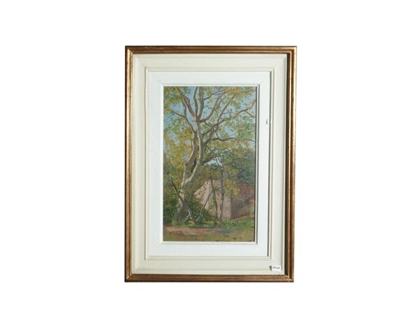 Eugenio Cecconi : Garden with Platano tree  - Auction The art of furnishing: auction opportunities - Maison Bibelot - Casa d'Aste Firenze - Milano