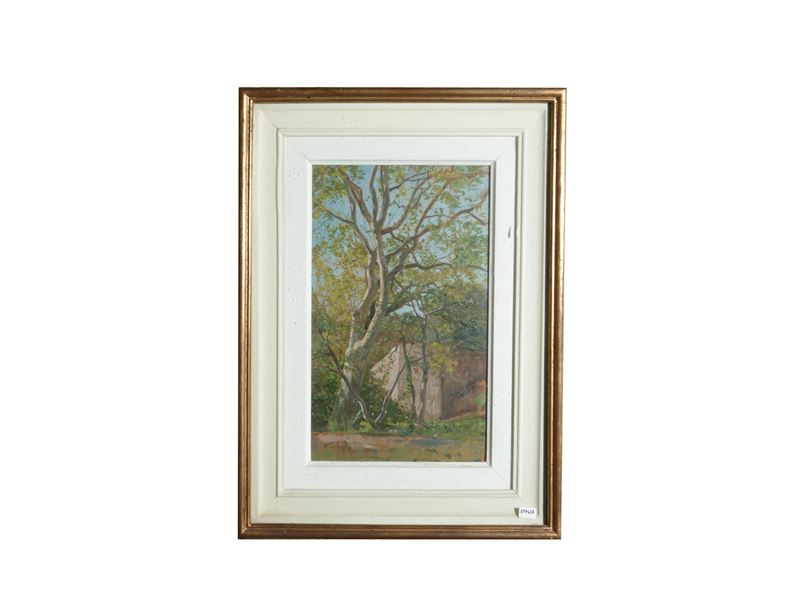 Scorcio di giardino con platano