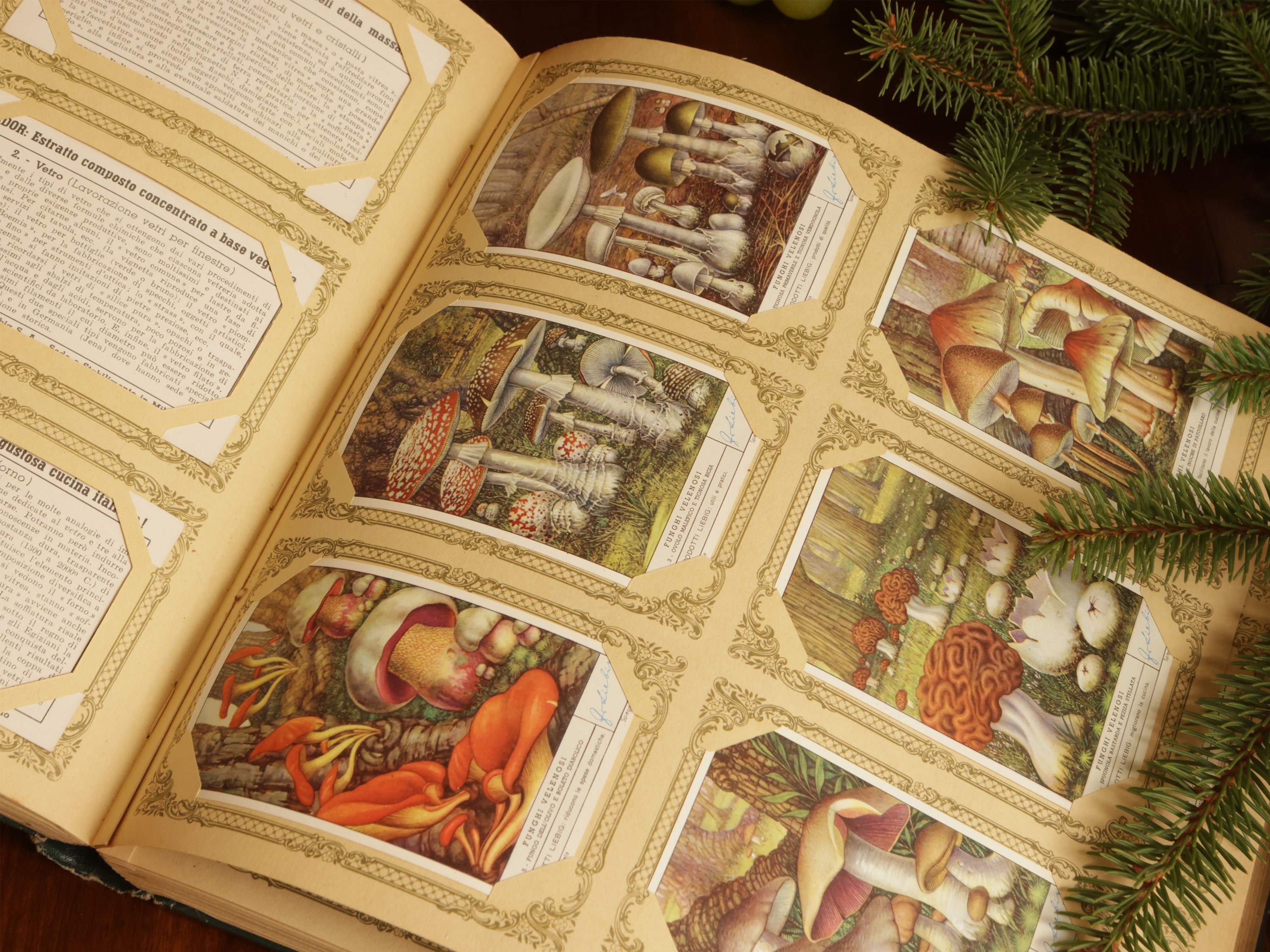 Album con Collezione di Figurine Liebig