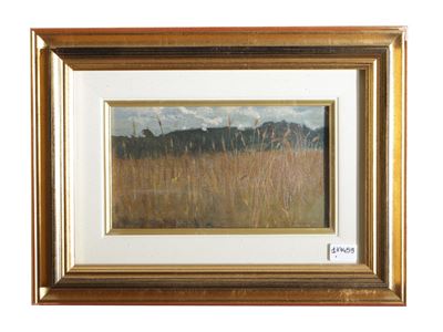 Campo di Grano