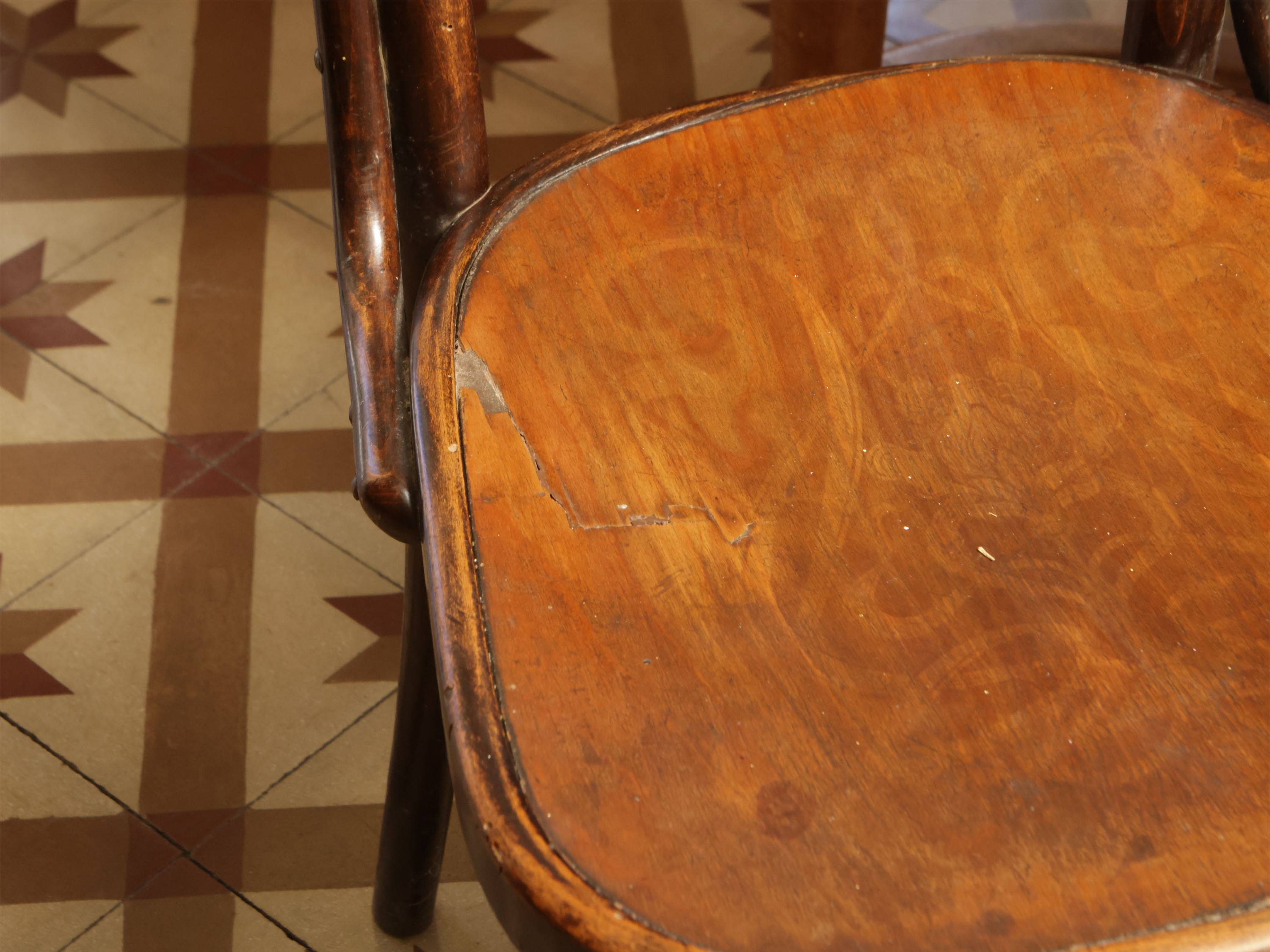 Serie di Sette Sedie in Faggio Curvato, Thonet