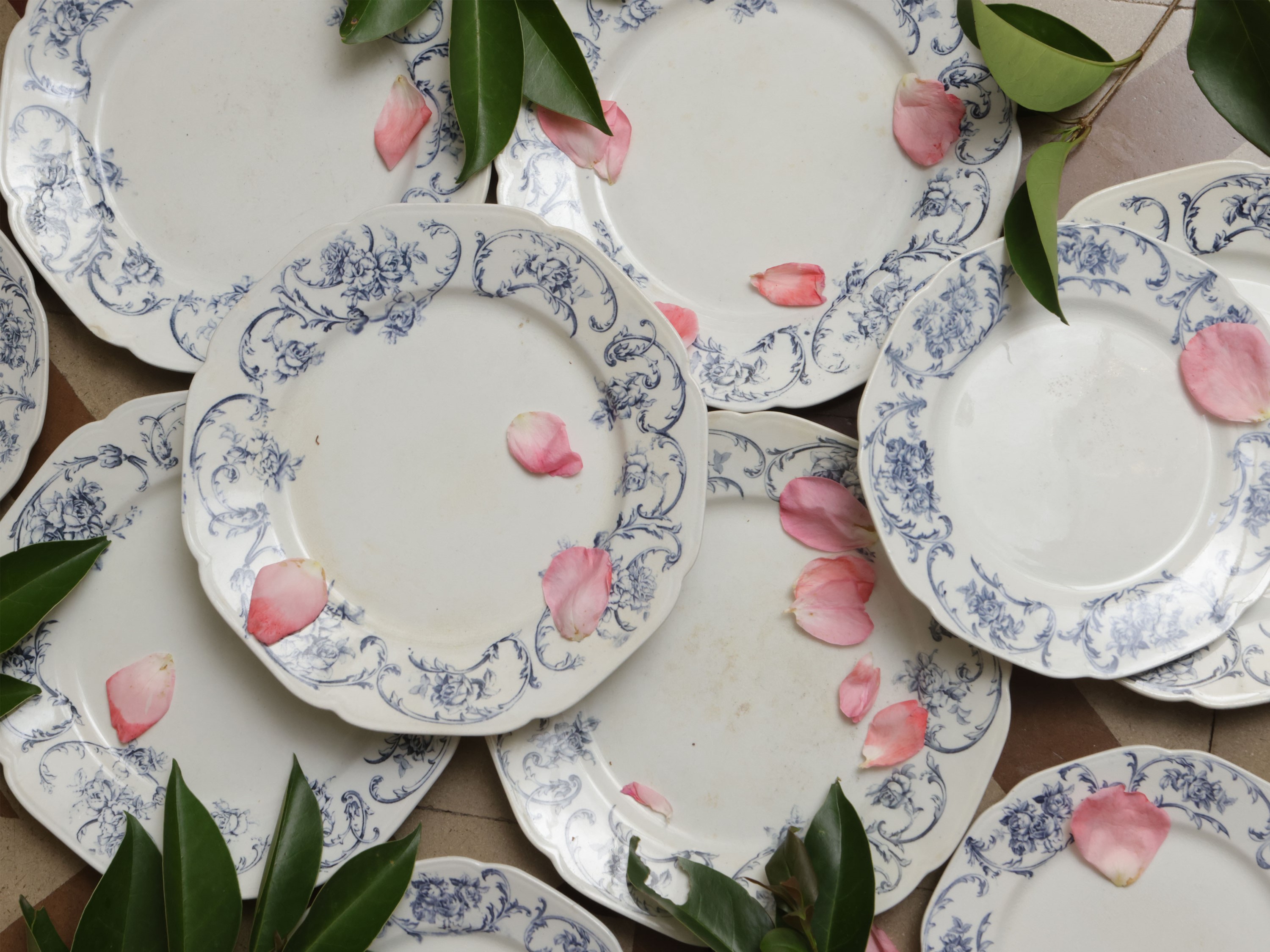 Assortimento di Accessori da Brunch