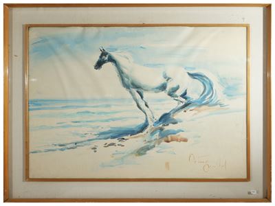 Cavallo