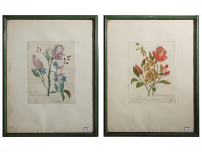 Rose - coppia di incisioni acquerellate