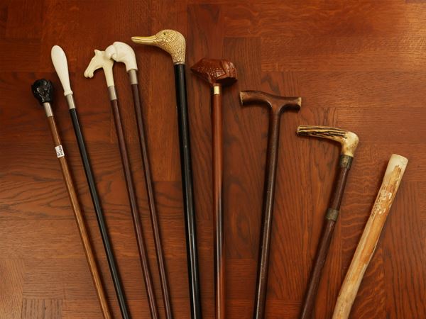 Fantasy of nine walking sticks