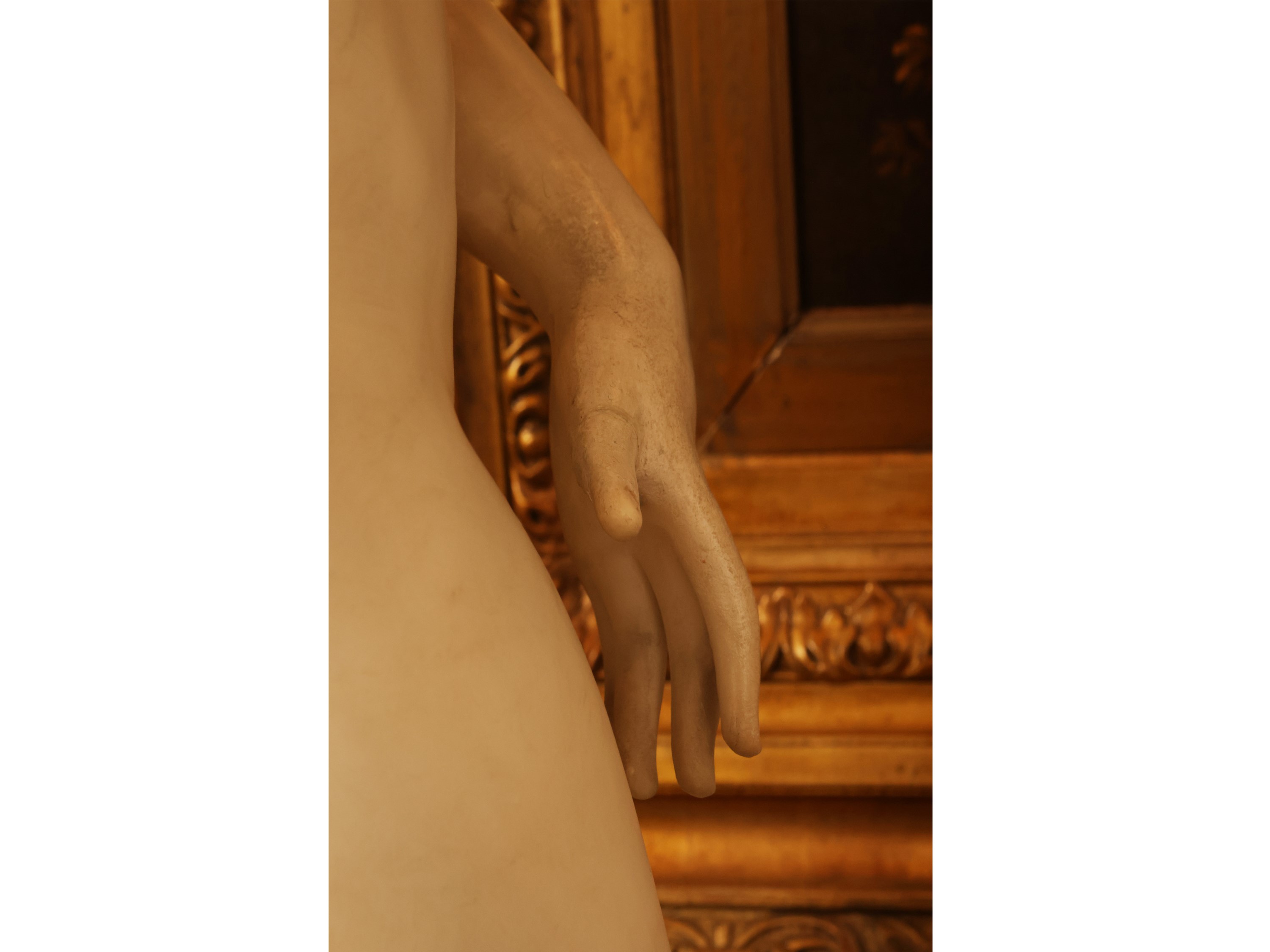Venere dei Medici