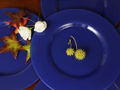 Serie di Dodici Sottopiatti in Vetro Blu