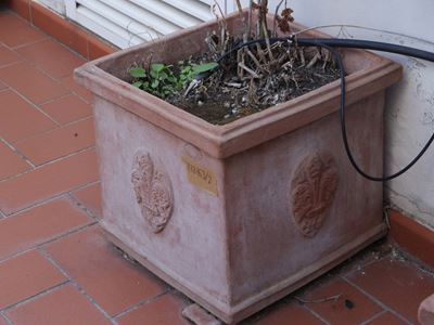 Coppia di Vasi in Terracotta di Impruneta, Archeo Terrecotte