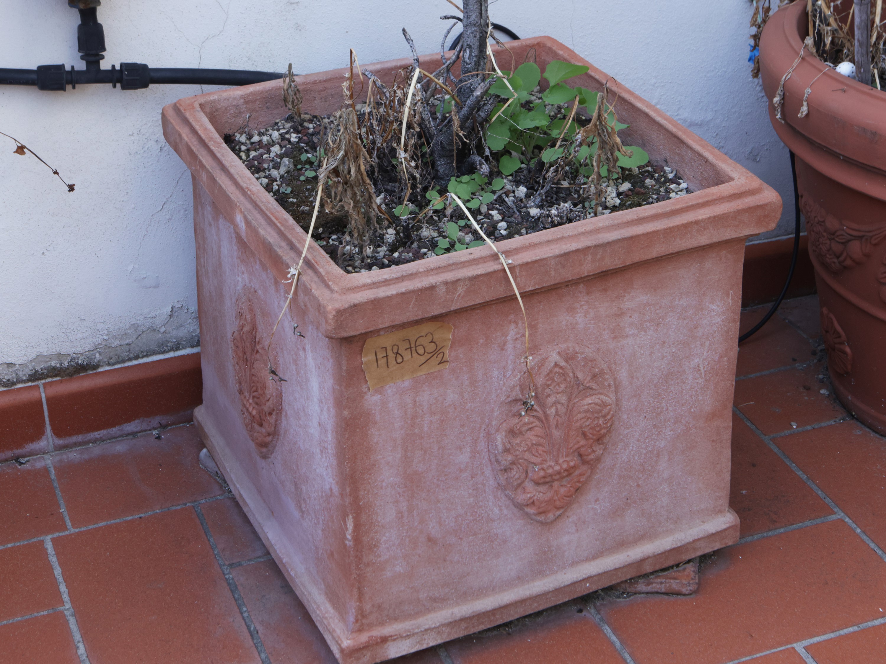 Coppia di Vasi in Terracotta di Impruneta, Archeo Terrecotte