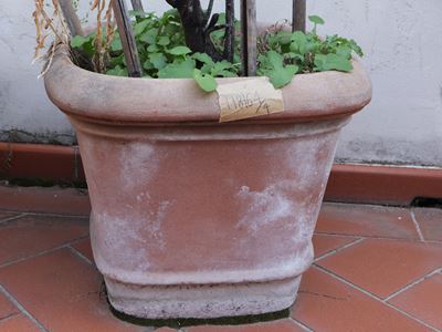Arredi da Giardino