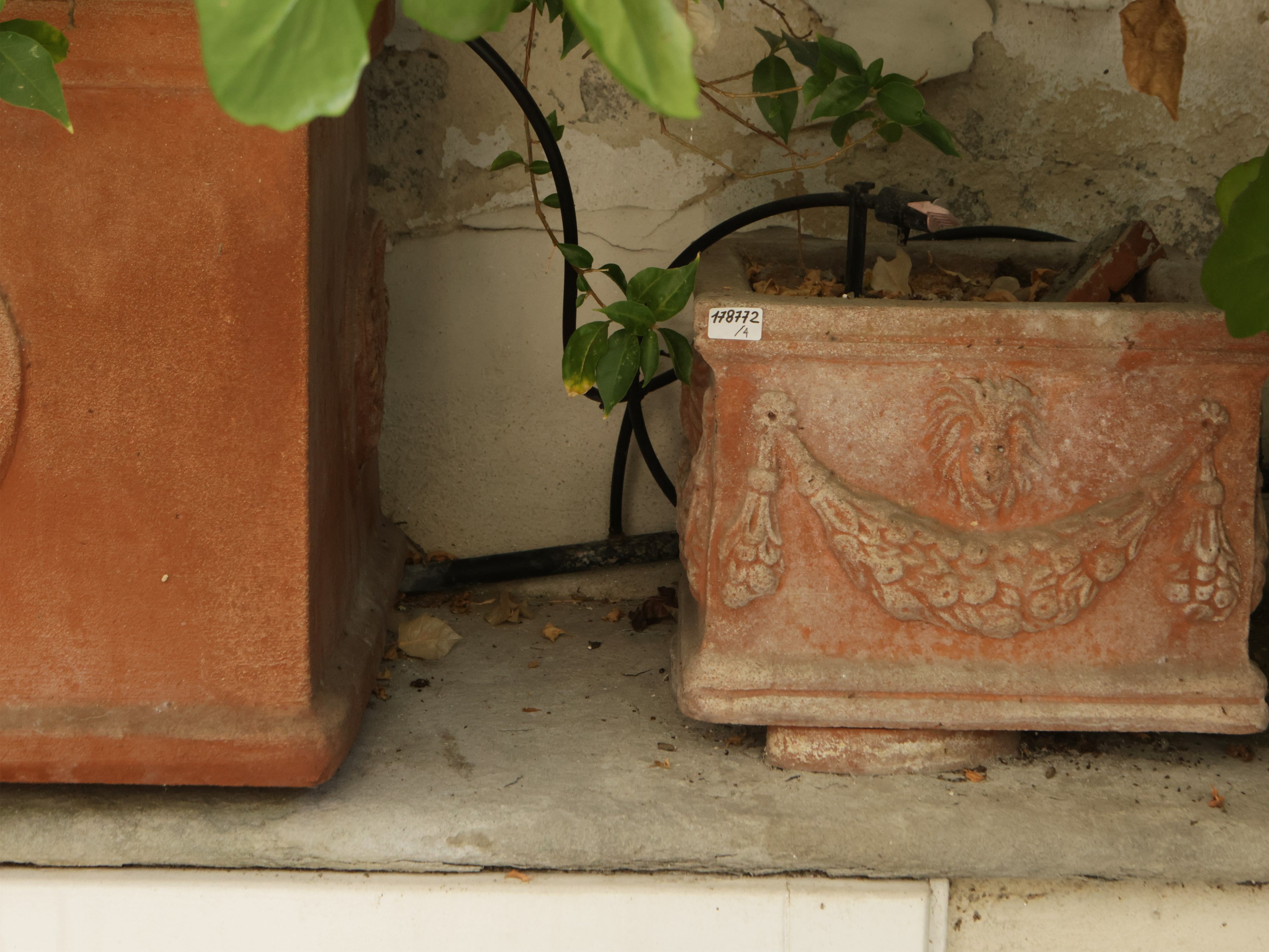 Quattro Vasi a Cassetta in Terracotta