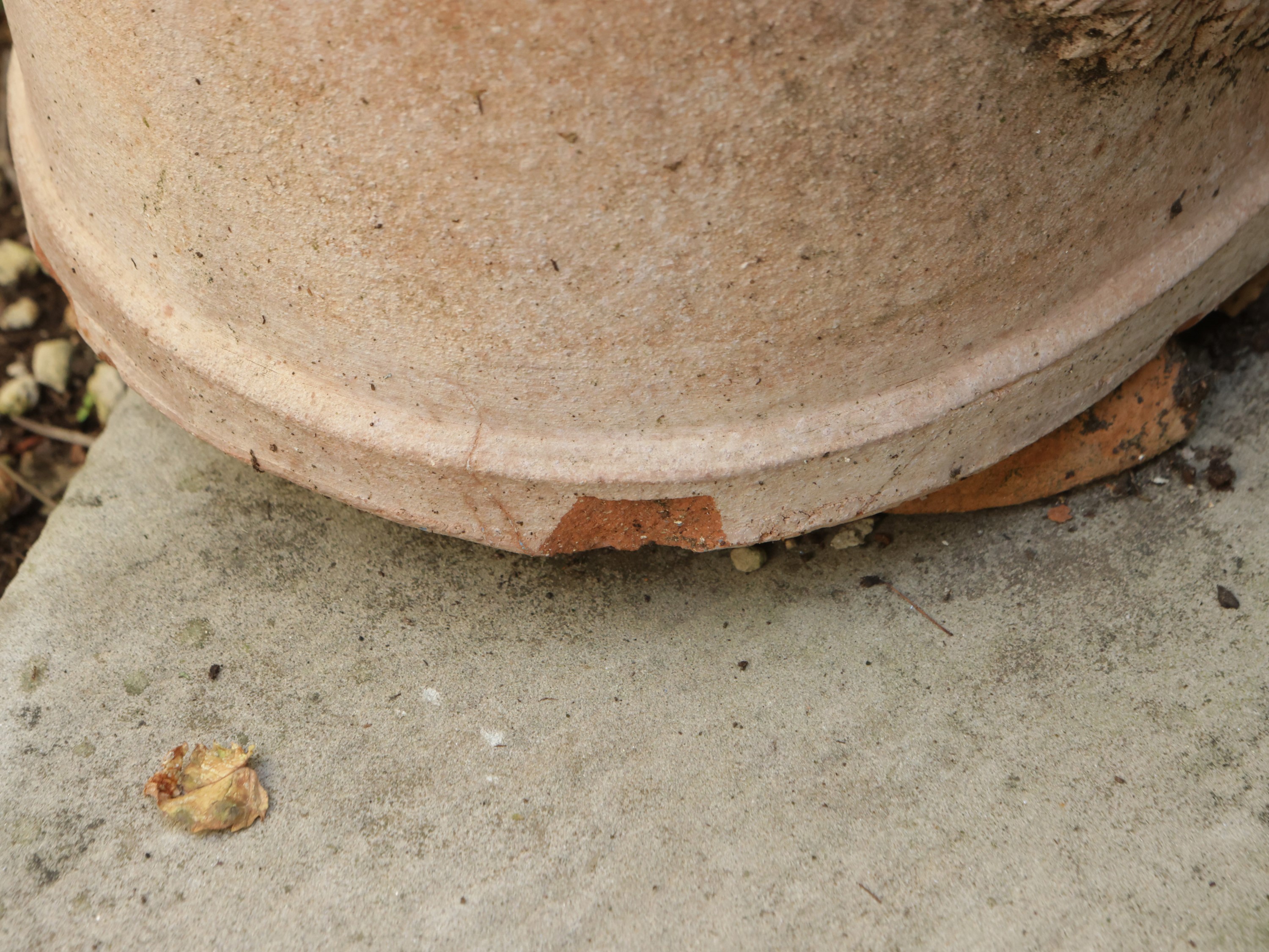 Assortimento di Vasi in Terracotta