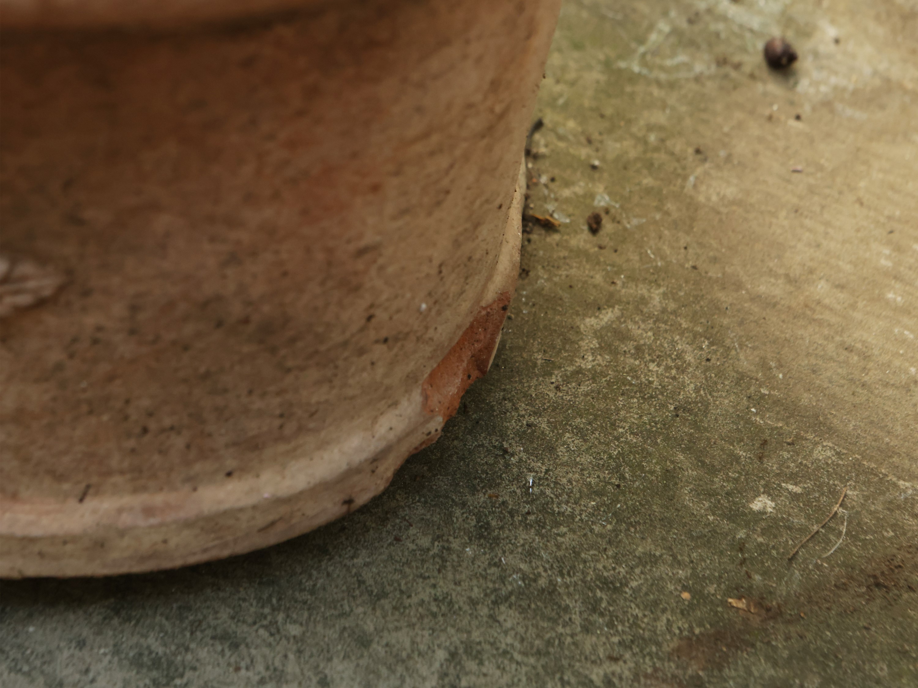 Assortimento di Vasi in Terracotta